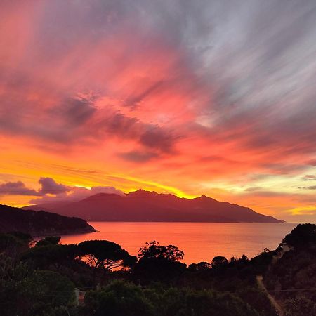 Hotel Scoglio Bianco Портоферайо Екстериор снимка