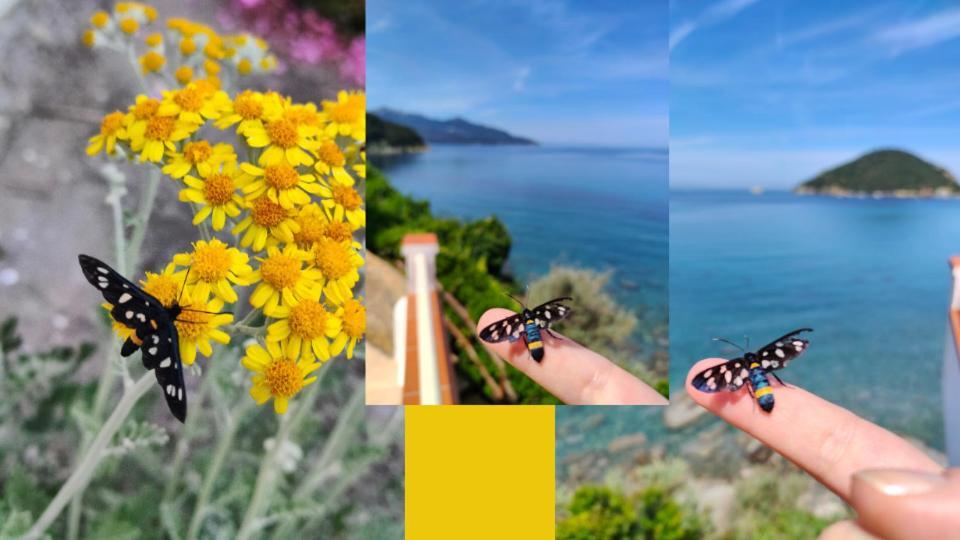 Hotel Scoglio Bianco Портоферайо Екстериор снимка