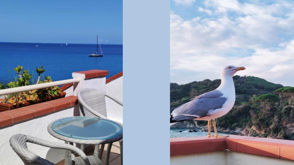 Hotel Scoglio Bianco Портоферайо Екстериор снимка